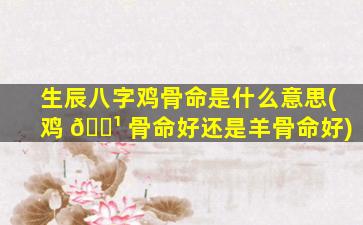 生辰八字鸡骨命是什么意思(鸡 🌹 骨命好还是羊骨命好)
